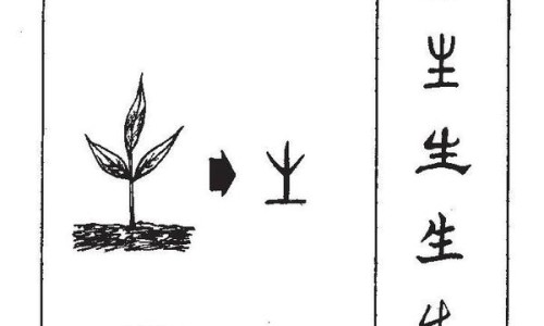 蛋白粉 奶粉 区别是什么网 - 为你提供蛋白粉和奶粉的区别、蛋白奶粉和奶粉哪个好